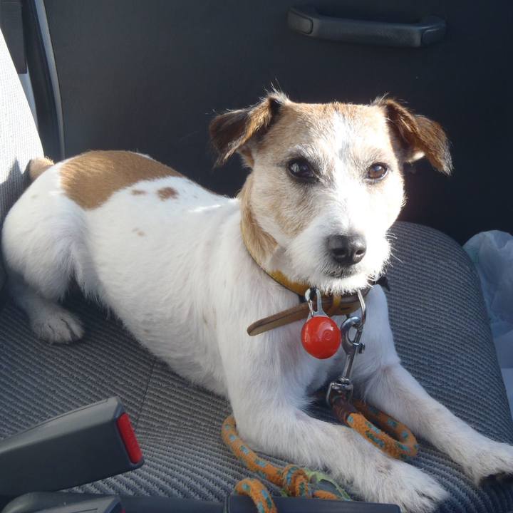 912470ea 8934 4bc3 b02d cc46496e4346 1520250258734