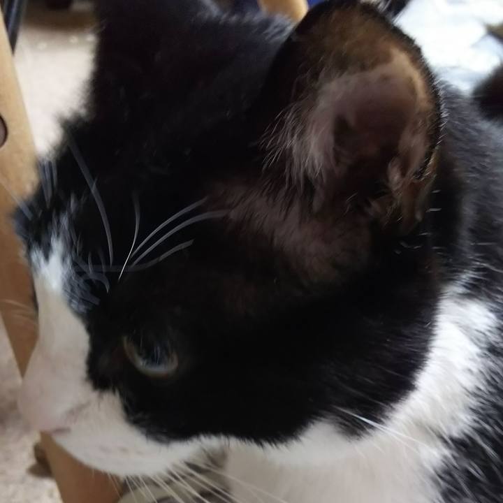 91249a19 cf59 4492 ac90 adf13af964e6 1591134073372