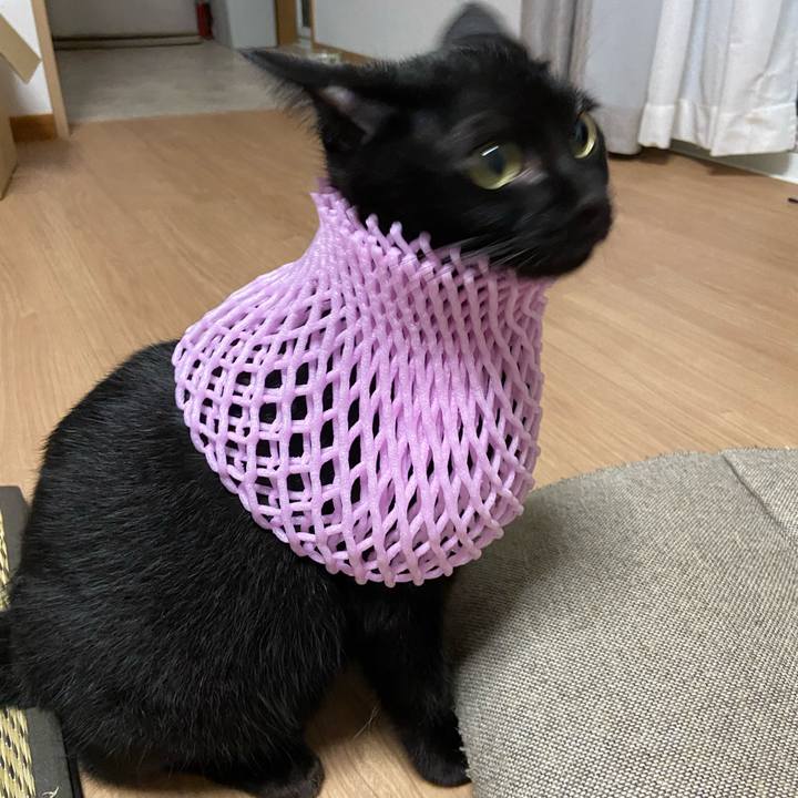 9124c4c9 0348 4047 9bcf 5dc72b6efdb7 1631364744897