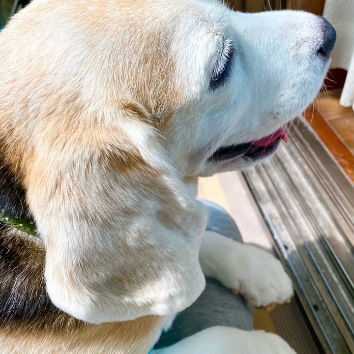 9124d55b 1f9c 4dc4 99fb 00526964f2fa 1663050005341