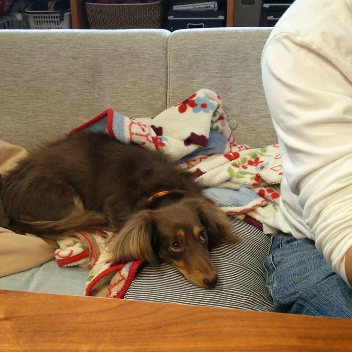 9124e80a 20d4 4a10 8fad 3fdc167bc2c3 1510463057976