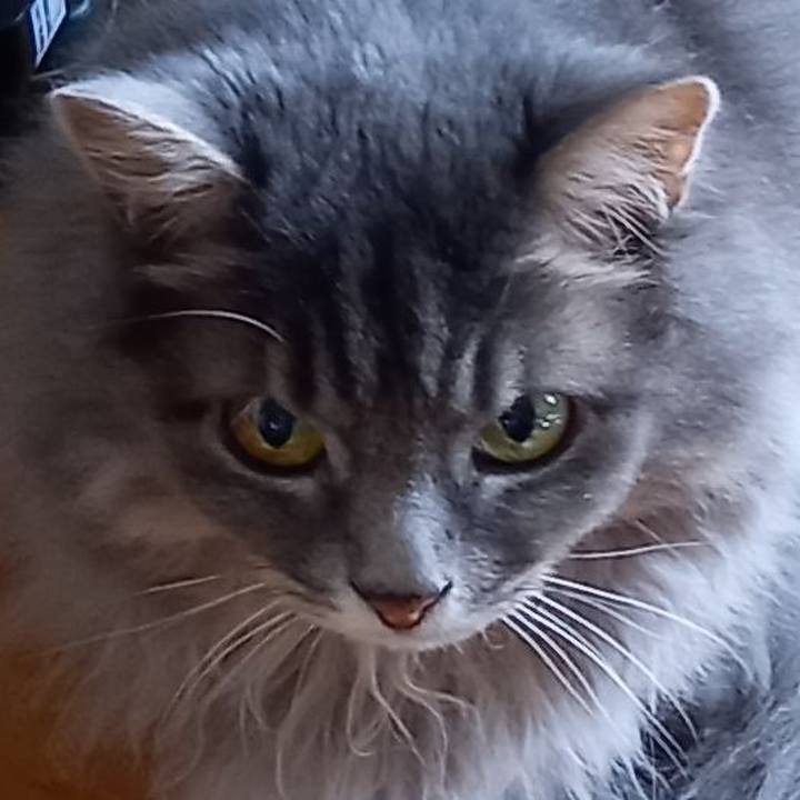 9124f2a6 c5f2 4b26 adda e887e32df176 1628291625717