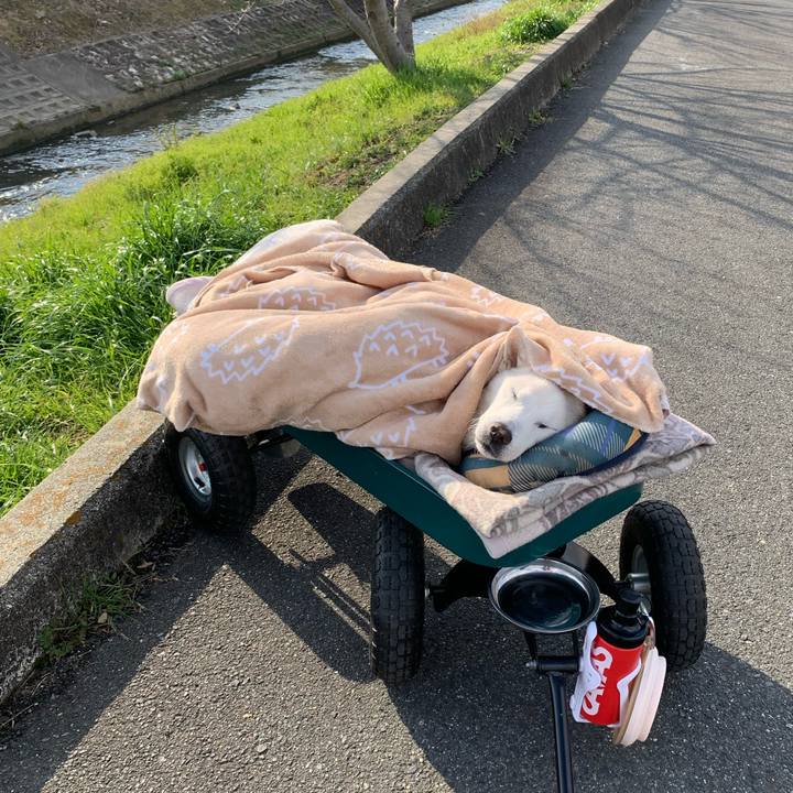 91250635 d258 47f2 840b c97bb7702f8a 1584273133571