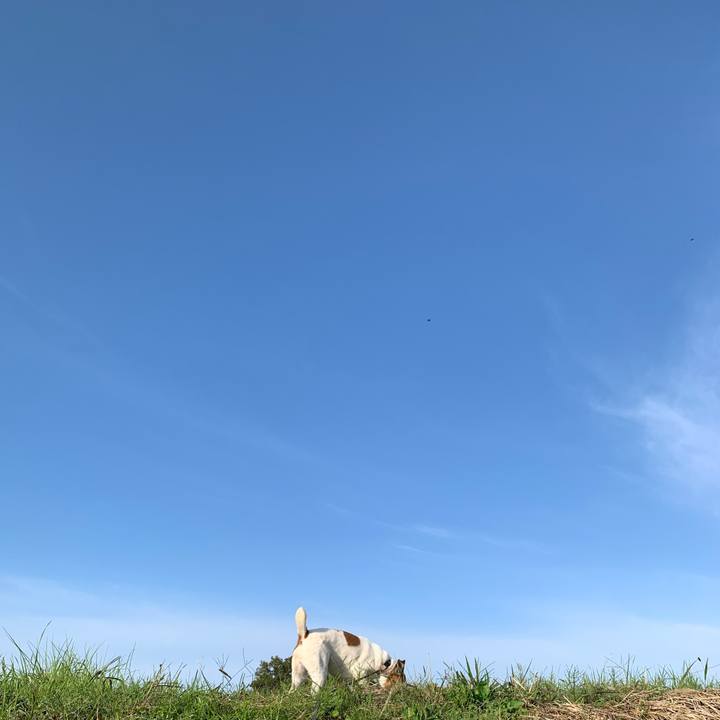 9125635b e11d 4cf2 86dd 95eeb86df3eb 1604187877670