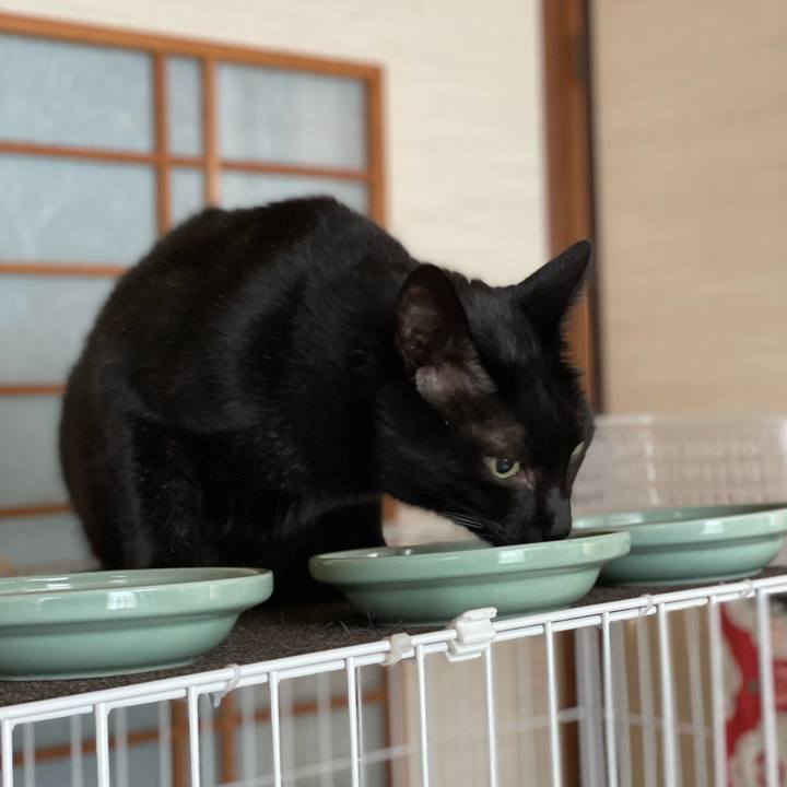 9125762e 101f 4f9e b59e 86ef622fe335 1660785352513