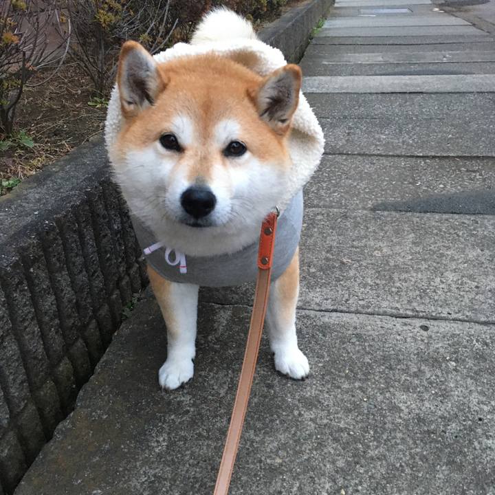 91258cea 170a 4143 a3e7 b698a1193a15 1576050768118