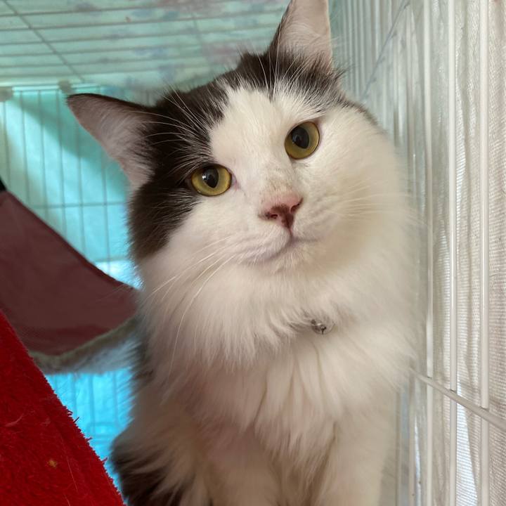 91259300 75f6 421a b9ed b8b6ee5877c0 1706249383372