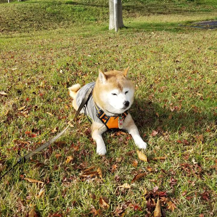 912616f6 6e7a 44b4 821b 0200b51c1df5 1699850819032