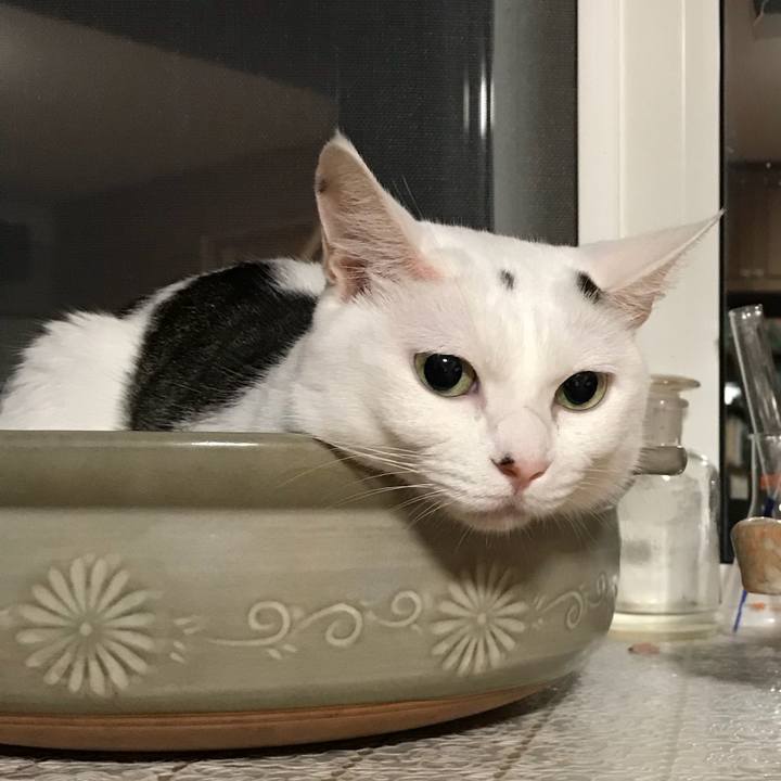 91261cff eec8 4e91 8a45 87d969eddb55 1534156900987