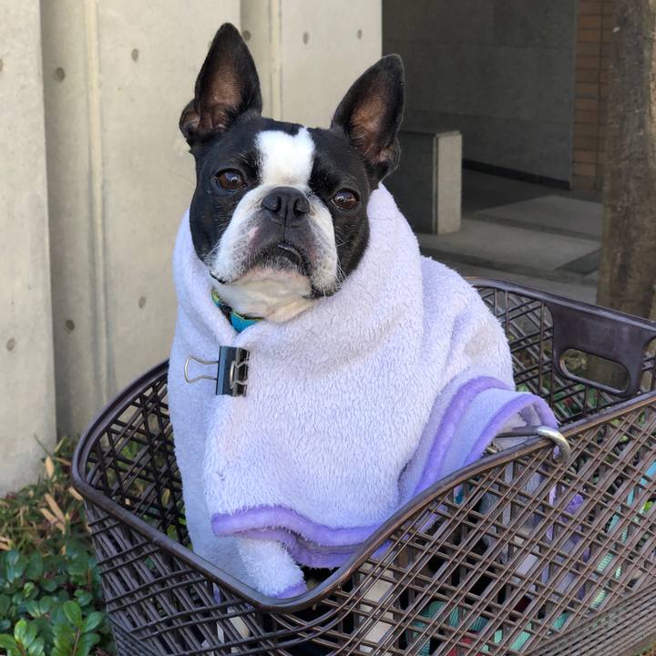 91262126 dcc9 43b6 ada5 abfb4a159d97 1703565370816