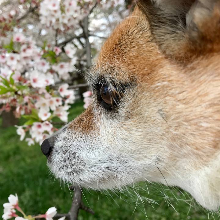 912627ac 6929 41b1 9c4e ae2a942c5c6b 1617435907792