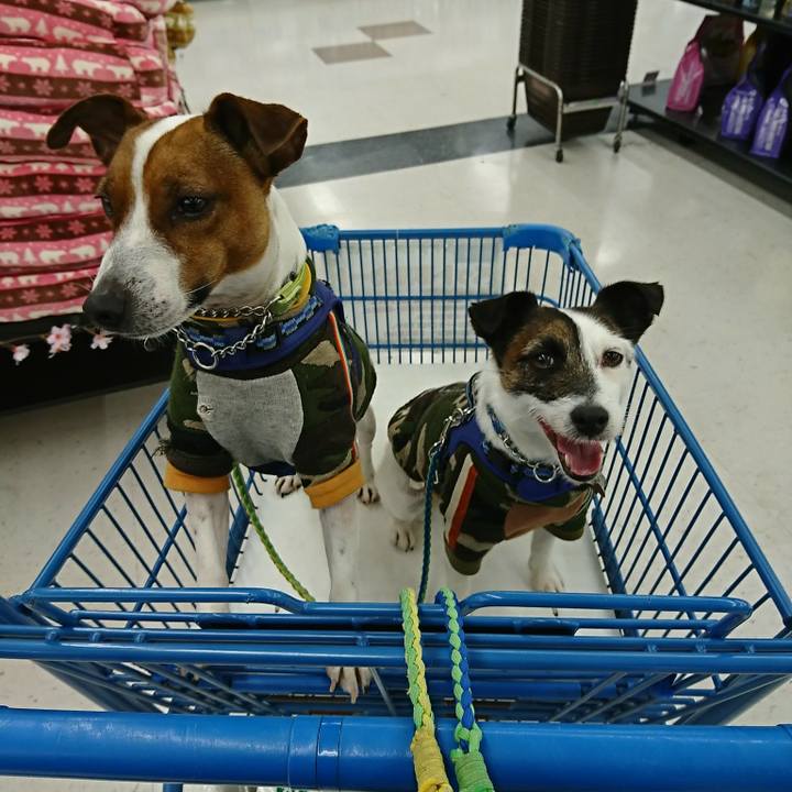 912630f5 dc62 4b77 87d6 8ac98c65d920 1583319502157