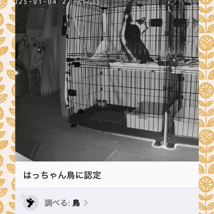 91263ce9 0d17 417a 9eb2 2a02afce27a8 1736020617598