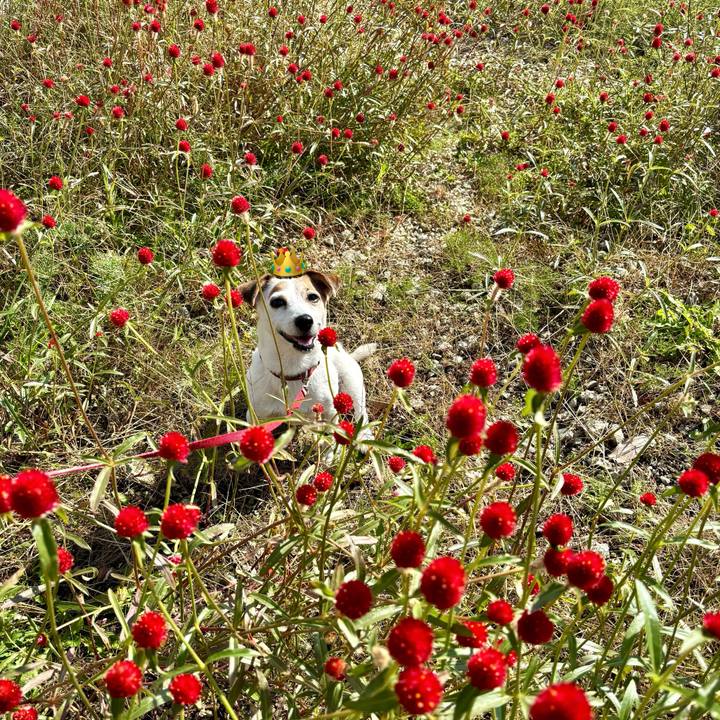 91266486 fbbc 4a7e a714 323664df0735 1762836794639