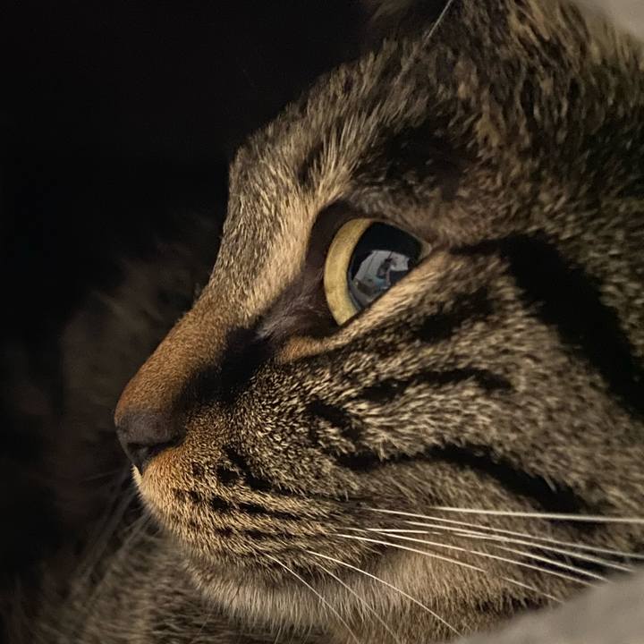 9126695b c448 4ad1 990b e26a1073904f 1648213354290