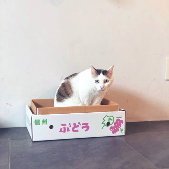 91266ff7 e566 4094 ac4f 677da42e42f4 1632520734362