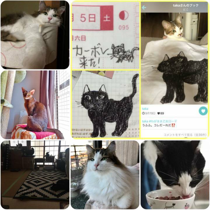 91269a83 10bf 4701 8842 141a2c1297e4 1568982205246