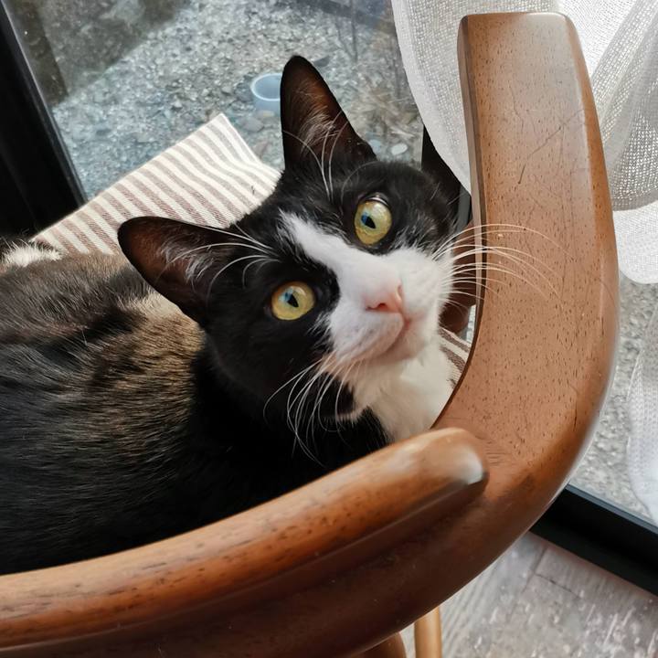 91271395 1270 4e65 b584 e193dcd2c2fa 1710736350407