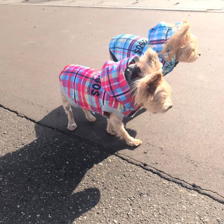 91271a61 e8f4 4a6f 9ad7 cb560cf71396 1604833383194