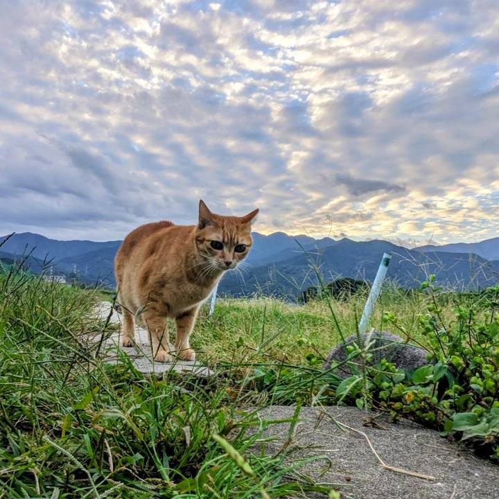 91271ff0 1e92 4936 88df 842bf7486b1e 1761882460536