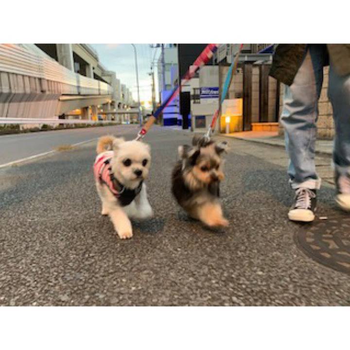 912722b8 708a 4830 a336 a724c2f28e51 1574249644784