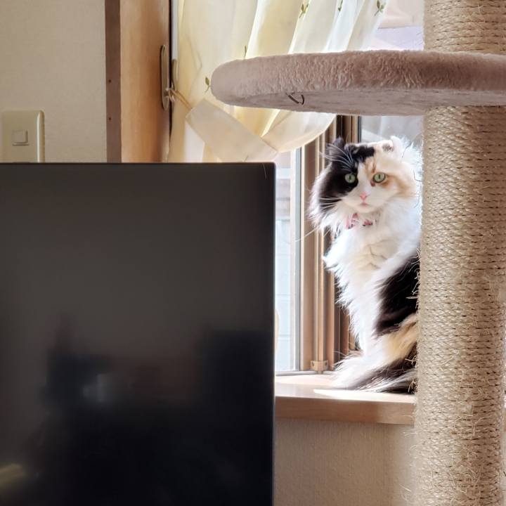 912737ab a28c 41ff 866e 9c6231b24f54 1644633396273