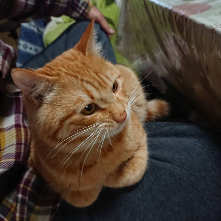 9127404d ac0e 4168 8367 295b9790ec2c 1648681157295