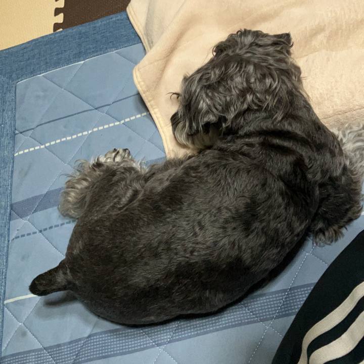 9127852b b201 427f 8f6c 87aa2b9ed2ca 1747836526728