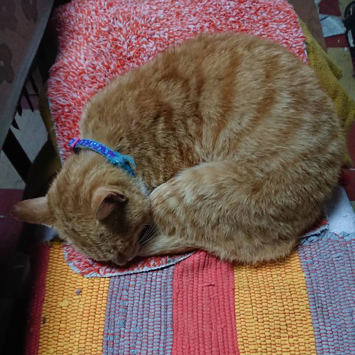 9127b9ff 48e9 4be6 be0f f023fafd06c9 1557868165872