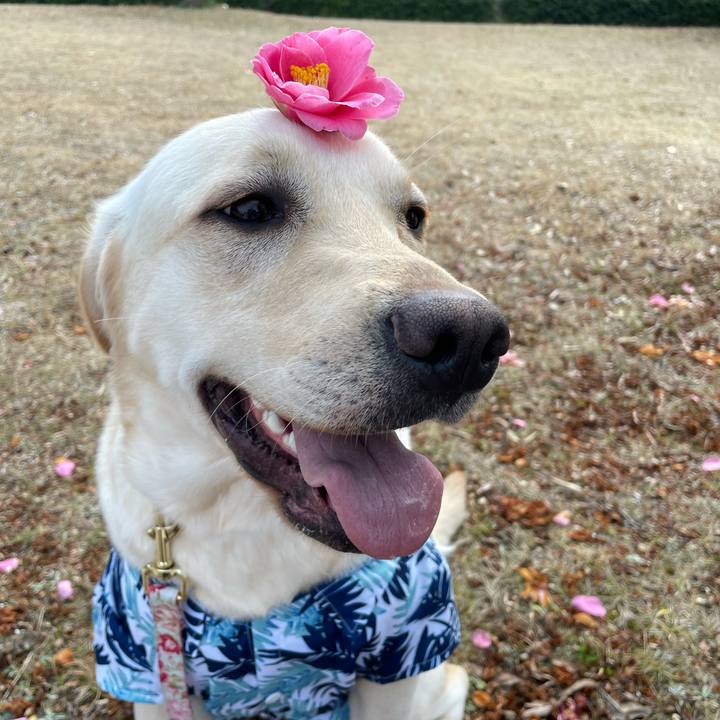 9127bcb3 1e72 4060 a9c8 5323a5b6036a 1646801224470