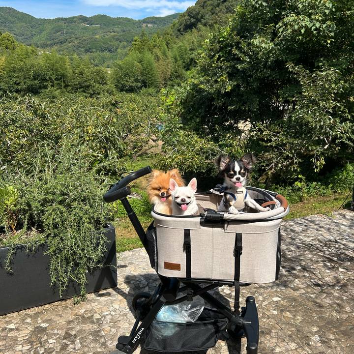 9127bd51 fb8d 4fd0 b286 8276eda915ab 1759202577578