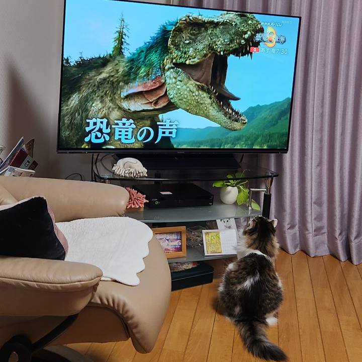 9127ffdb 60d8 44ff 9da3 22017a74d572 1757850701773