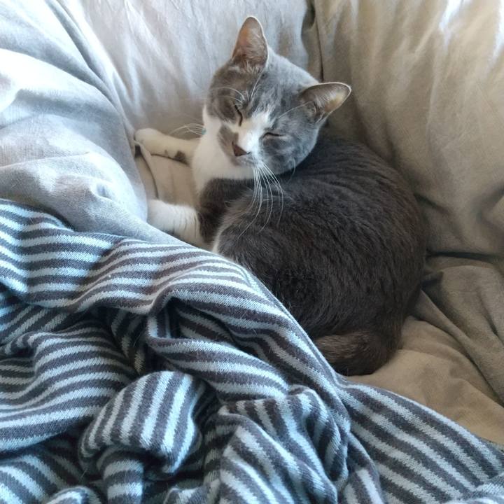 91281a90 e9b6 490e a266 d33b4a4ea459 1646368130490