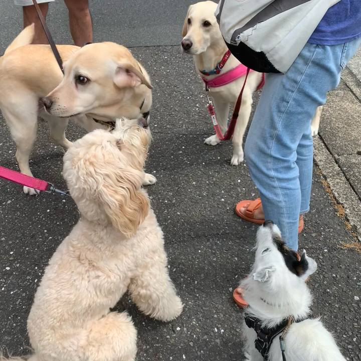 912855d1 ecf6 457d aed6 7dc0f17af7b2 1748478318672