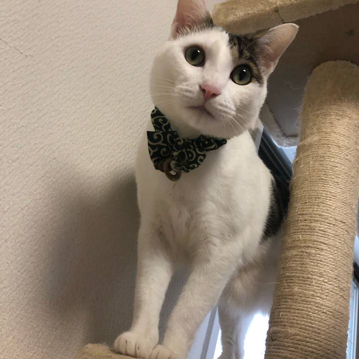 91285649 61c7 4966 b476 350550ff59fe 1544960378138