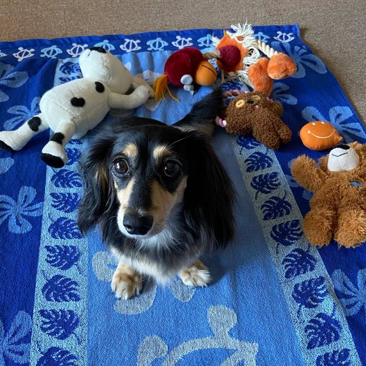 912892fa 4f3f 43ae 9d53 6d16793d0a6a 1725585258058