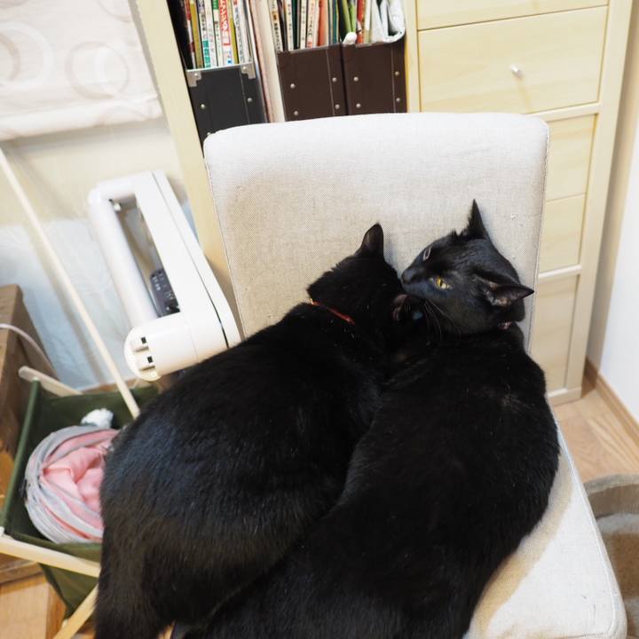 9128a10d 81d8 4739 90b1 1069112b09ba 1534807811395