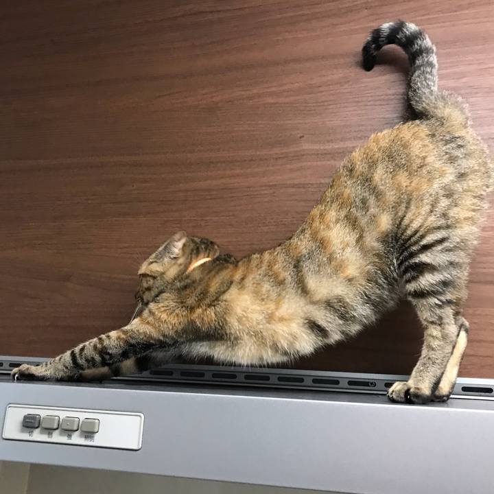 9128c3ee 5d94 4761 8ac4 d6495501cd3e 1557493181927