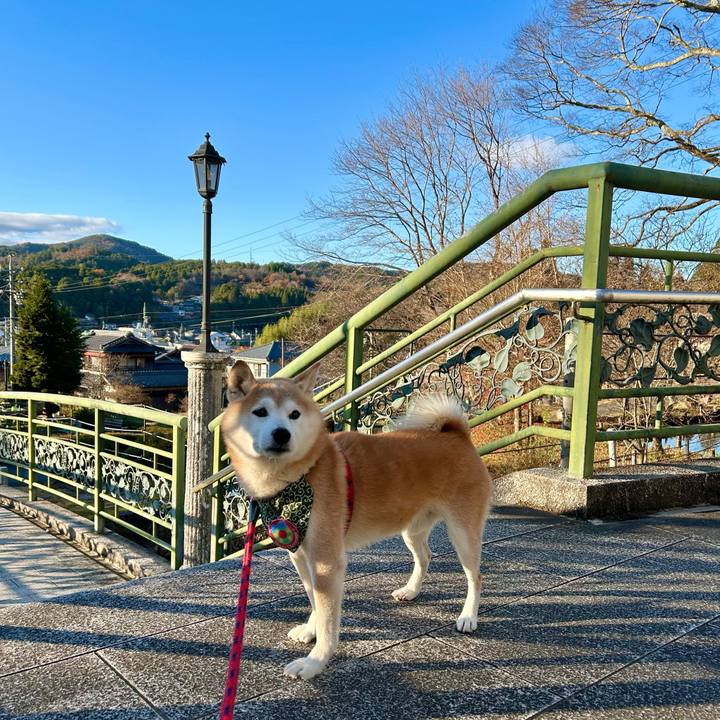 9128fad9 084f 4e67 9566 81193a427b95 1733734146929