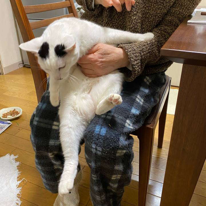 912904bb 8381 4630 bf66 50a11b0933cf 1613048646636