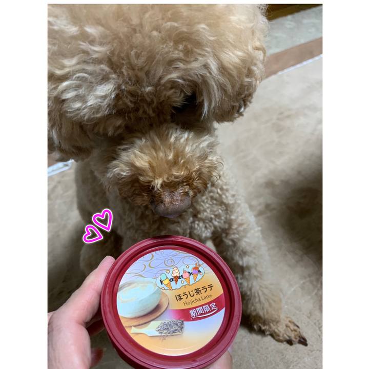 912928aa cfd0 4c05 ae4a 4609059cfba3 1571654702326