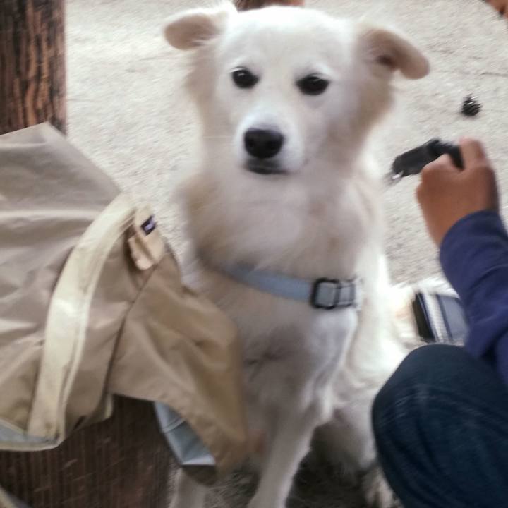 91294e75 6632 4edf a247 83636369b6d1 1509158252867