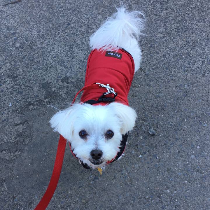 91295b0d 3fa8 4409 98cc 703d62081508 1574996702778