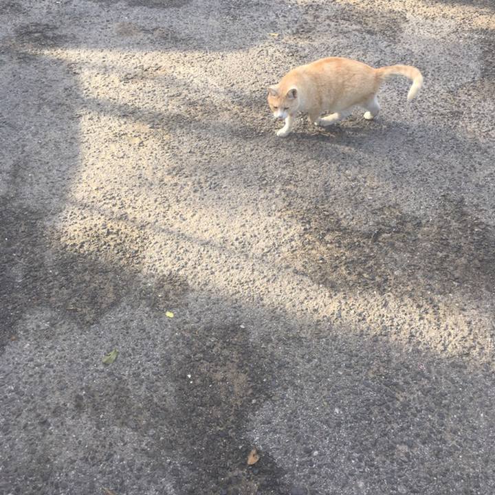 91295c66 4e22 4f86 8599 fc14a11a041a 1558475476512