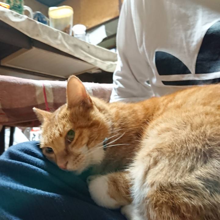 91299231 1c1c 4862 b54a da1729f3b1fd 1600721681549