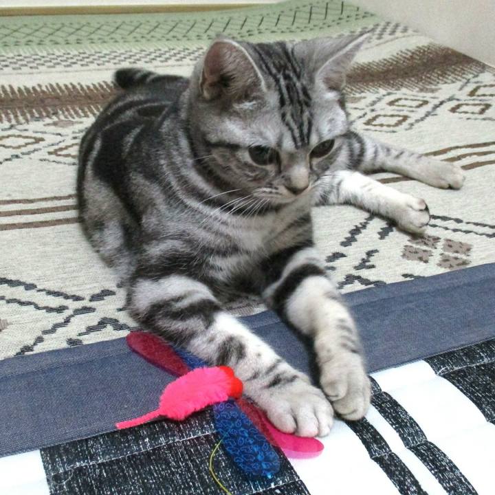 9129fffa 0b24 4fea bf9e 0a58751cb7c7 1548414014324