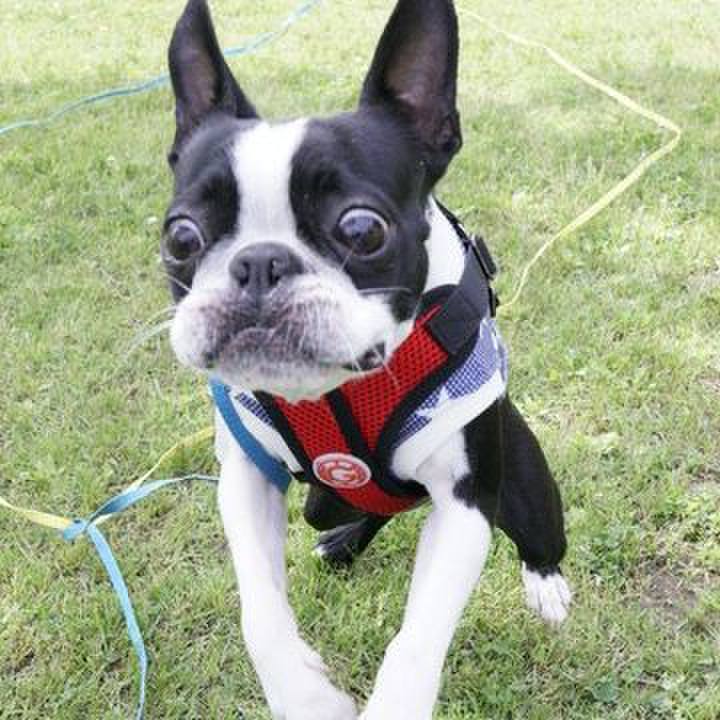 912a31e1 1f73 408d a722 74e5d6e20683 1557486306004