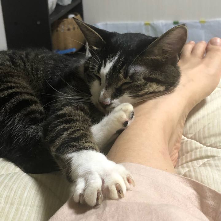 912a3233 6533 48bc b796 fb7b9a3b8f73 1564790807359