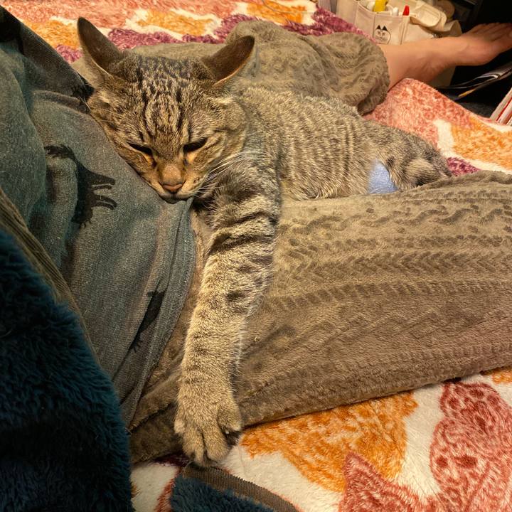 912a8974 6387 4308 bead bc1ad06bcef8 1736433286278