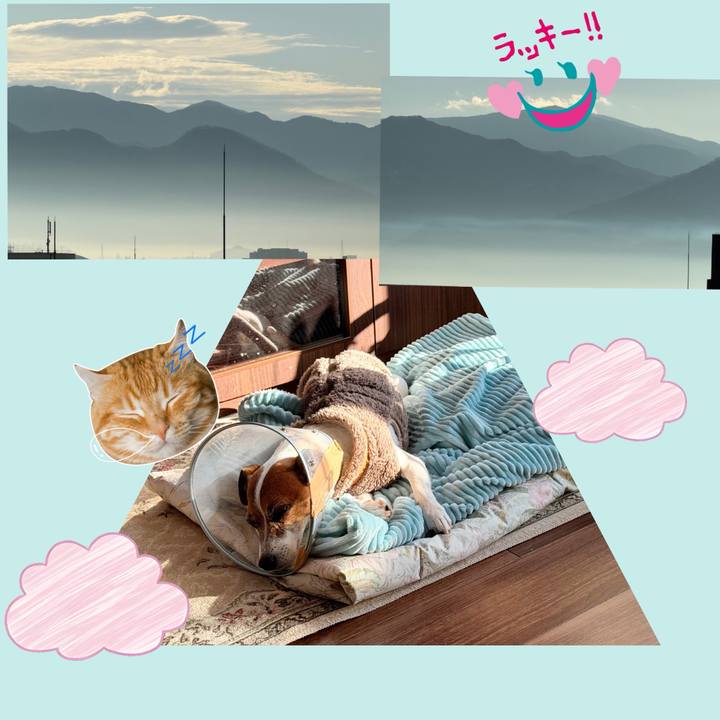 912a8beb f6ac 41e2 a8c6 9b676a67e9c9 1766288590041